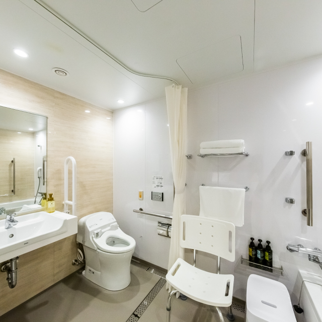 Accessible Room bathroom