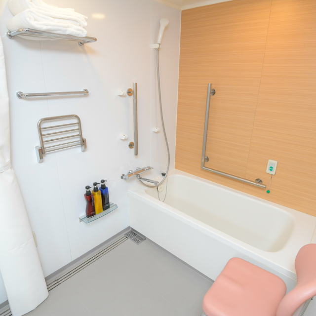 Accessible Room bathroom