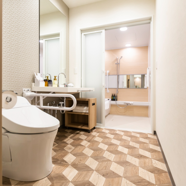 Accessible Room bath