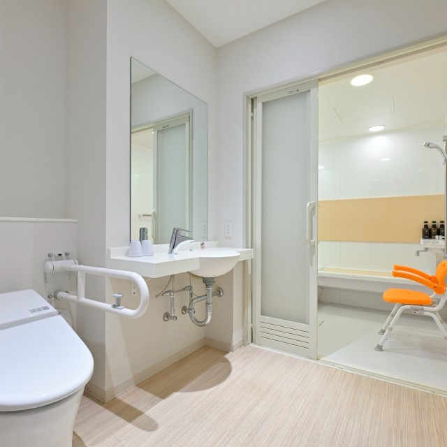 Accessible Room bathroom